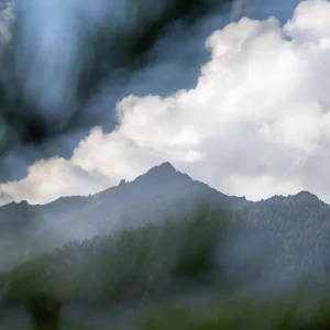 Accredito - Oltre le Asana